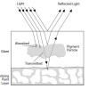 Defining “Luminous Effects” jp12a2-1