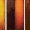 Williamsburg Welcomes 7 New Colors Masstone and undertone applications of
transparent colors. The paint on the left was applied in full thickness with a palette knife and then scraped to the canvas at the top of the strip. The right side was applied thinly with a brush and then wiped away to show the undertone of the transparent color. Nickel Azo Yellow (left) is a complicated, wide ranging color with a greenish brown masstone with a hint of glowing red beneath the brushstroke. The undertone transitions from an earth orange to a chromatic, almost astringent, brilliant yellow. Transparent Red Iron Oxide (center) is a deep transparent red brown with a fiery red glow. The undertone ranges from glowing earth red
to blazing orange. Transparent Yellow Iron Oxide, (right) by contrast, is much warmer, yellowish brown. It is a transparent chestnut brown with a slight reddish bias in the masstone and a clean earth yellow undertone.