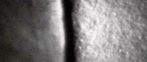 As magnified by a stereomicroscope, the surface of GOLDEN Matte Titanium White (left), compared to the surface of GOLDEN Gesso (right). Gesso provides a surface with much more tooth, promoting better adhesion.