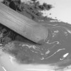 GAC Specialty Polymers GAC 100 will wet out solids, including pigments, more readily than other
polymers and is useful for artists formulating their own paints.