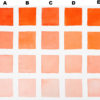 QoR Permanent Scarlet Discontinued Comparison Board
